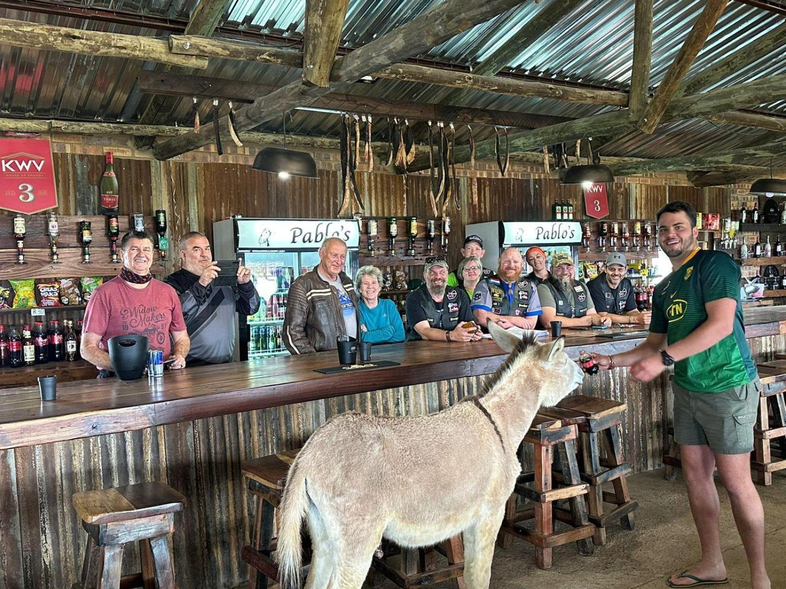 فندق The Wool House & Pablo'S Carolina المظهر الخارجي الصورة